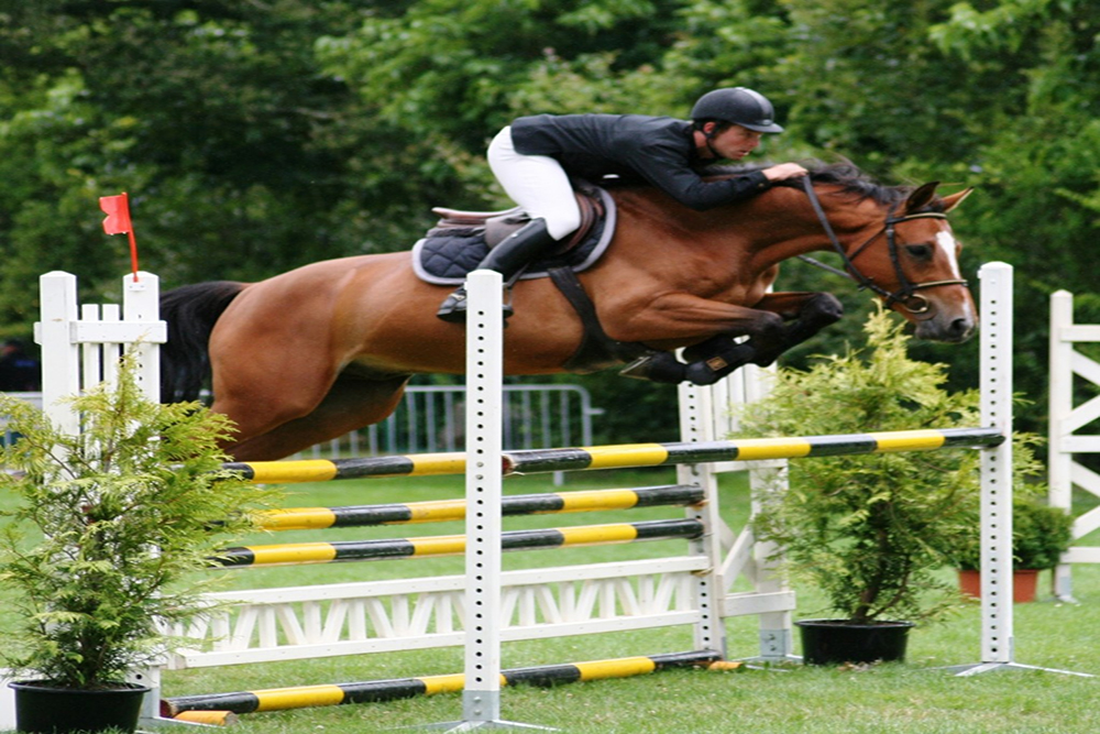 equitation